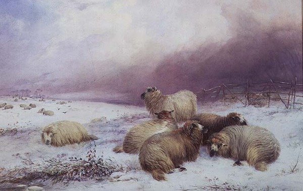 Et vinterlandskab med får af Thomas Francis Wainewright