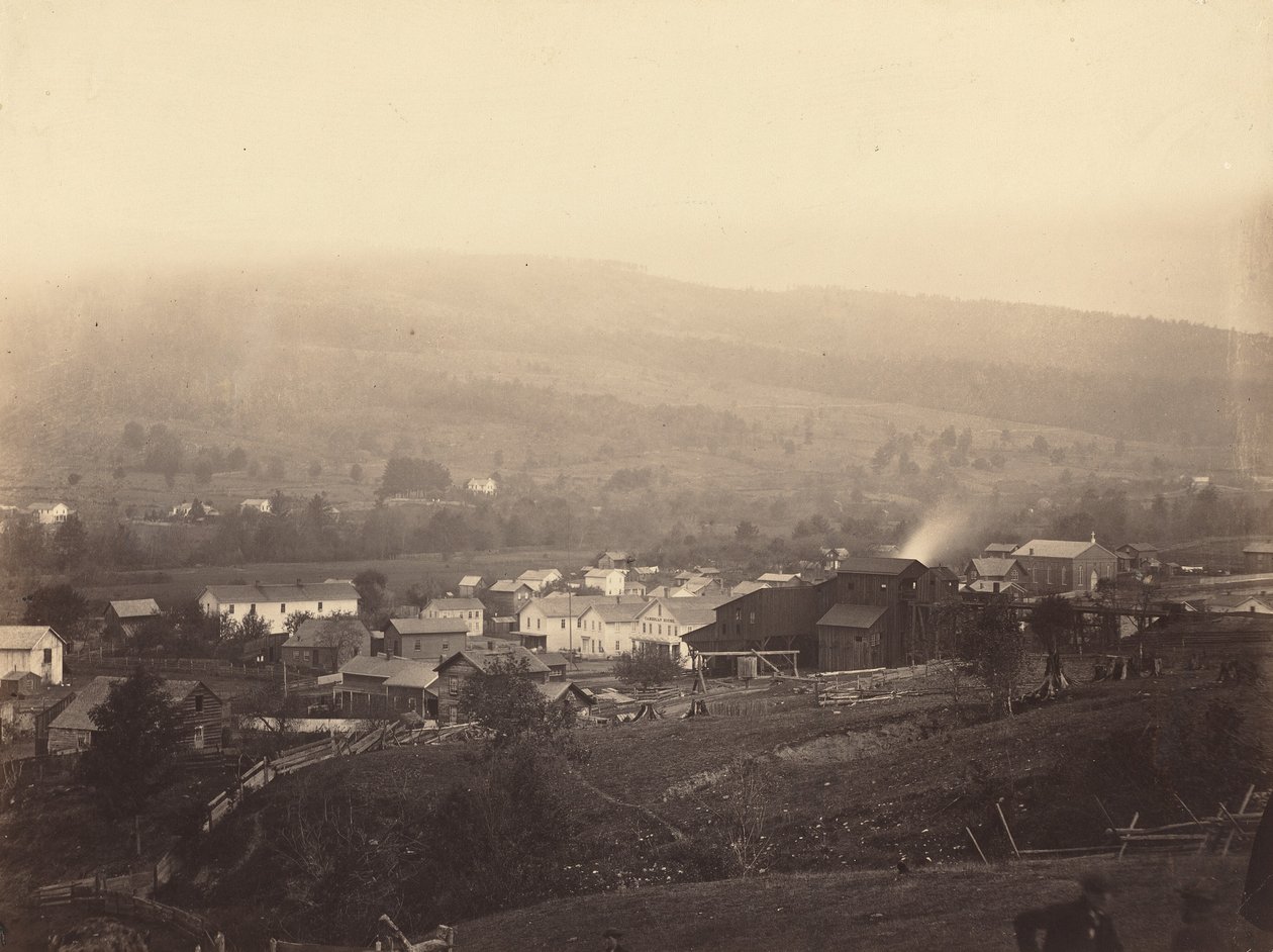 Olyfant, ca. 1863-1865. af Thomas H. Johnson