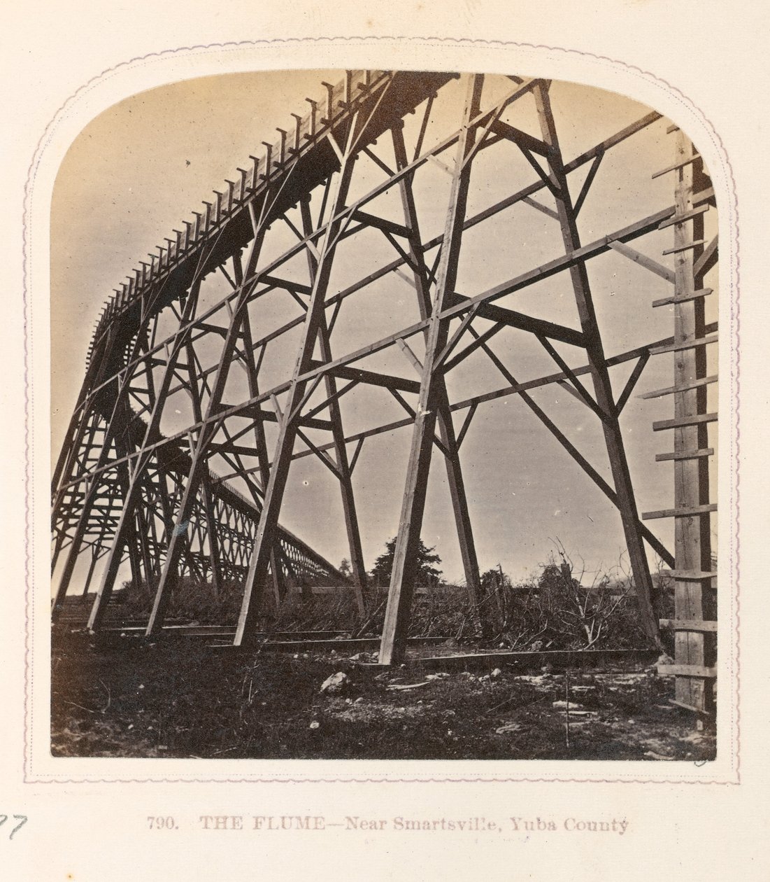 Renden af Thomas Houseworth
