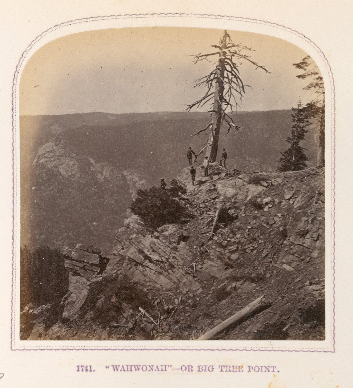 "Wahwonah" - eller Big Tree Point af Thomas Houseworth