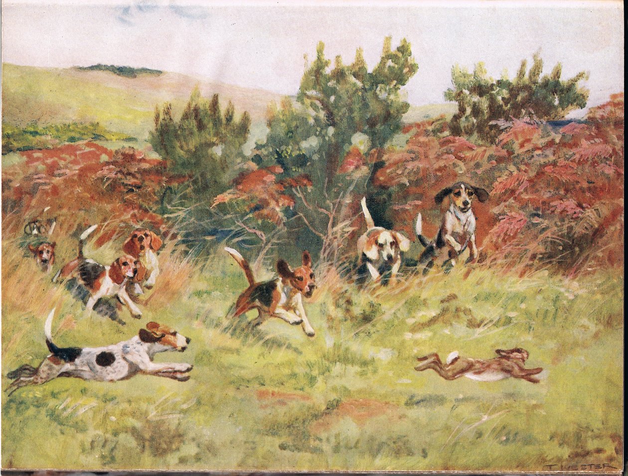 Jagter en hare, illustration fra 