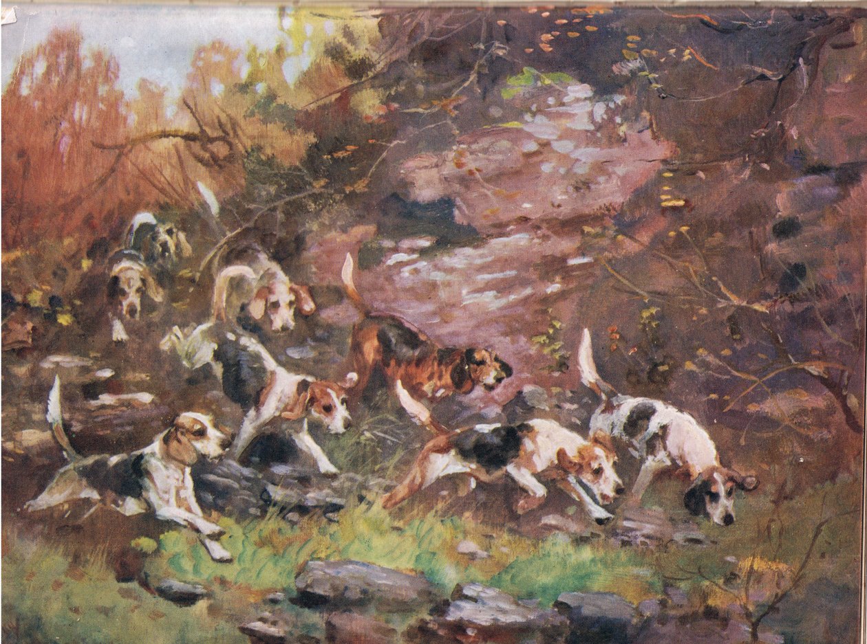 Through the Undergrowth, illustration fra 