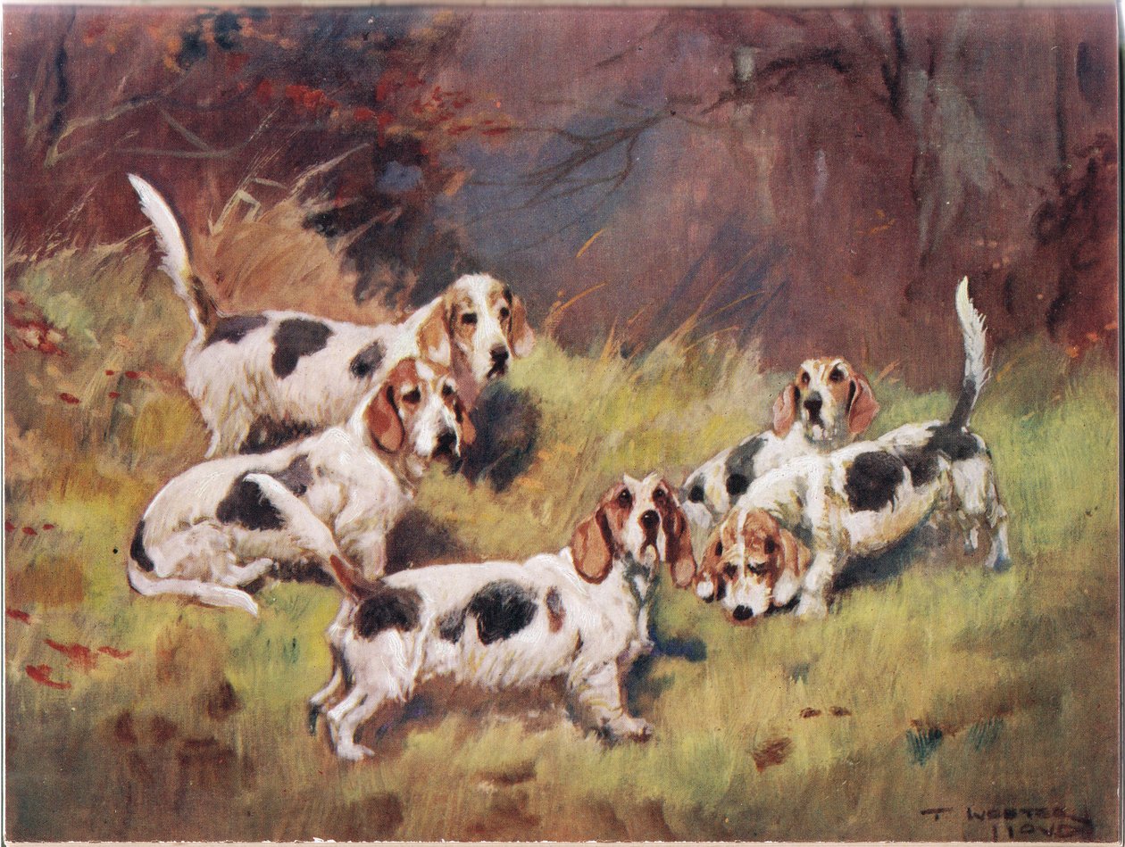 Venter, illustration fra 