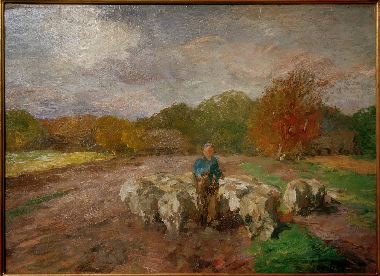 Flok får i sollys af Thomas Ludwig Herbst