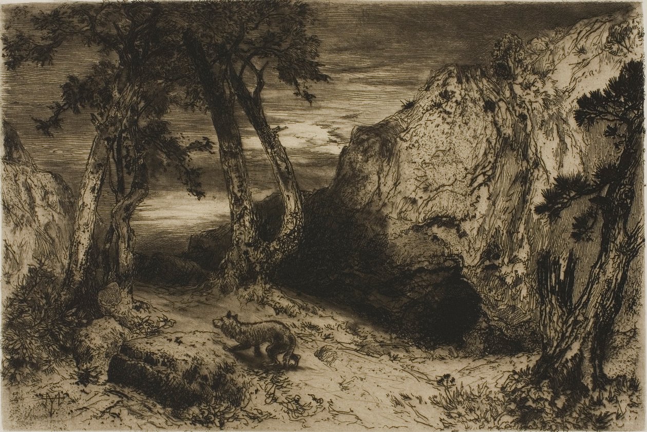 Coyoten - Arizona af Thomas Moran