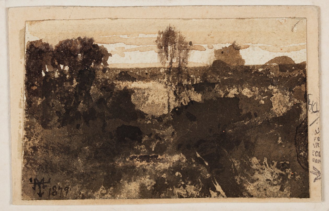 Grand Canyon af Thomas Moran