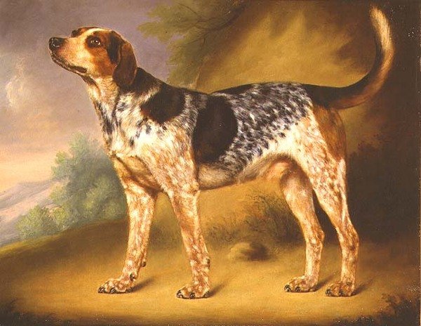 Richard Strachey
