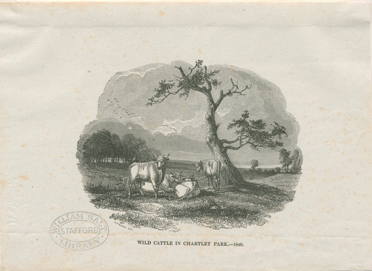 Chartley Hall - Park: træsnitsgravering af Thomas Peploe Wood