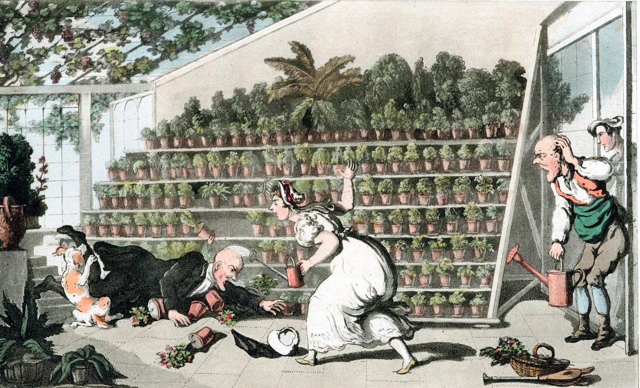 Ulykke i Tulipanhallen, c1816 af Thomas Rowlandson