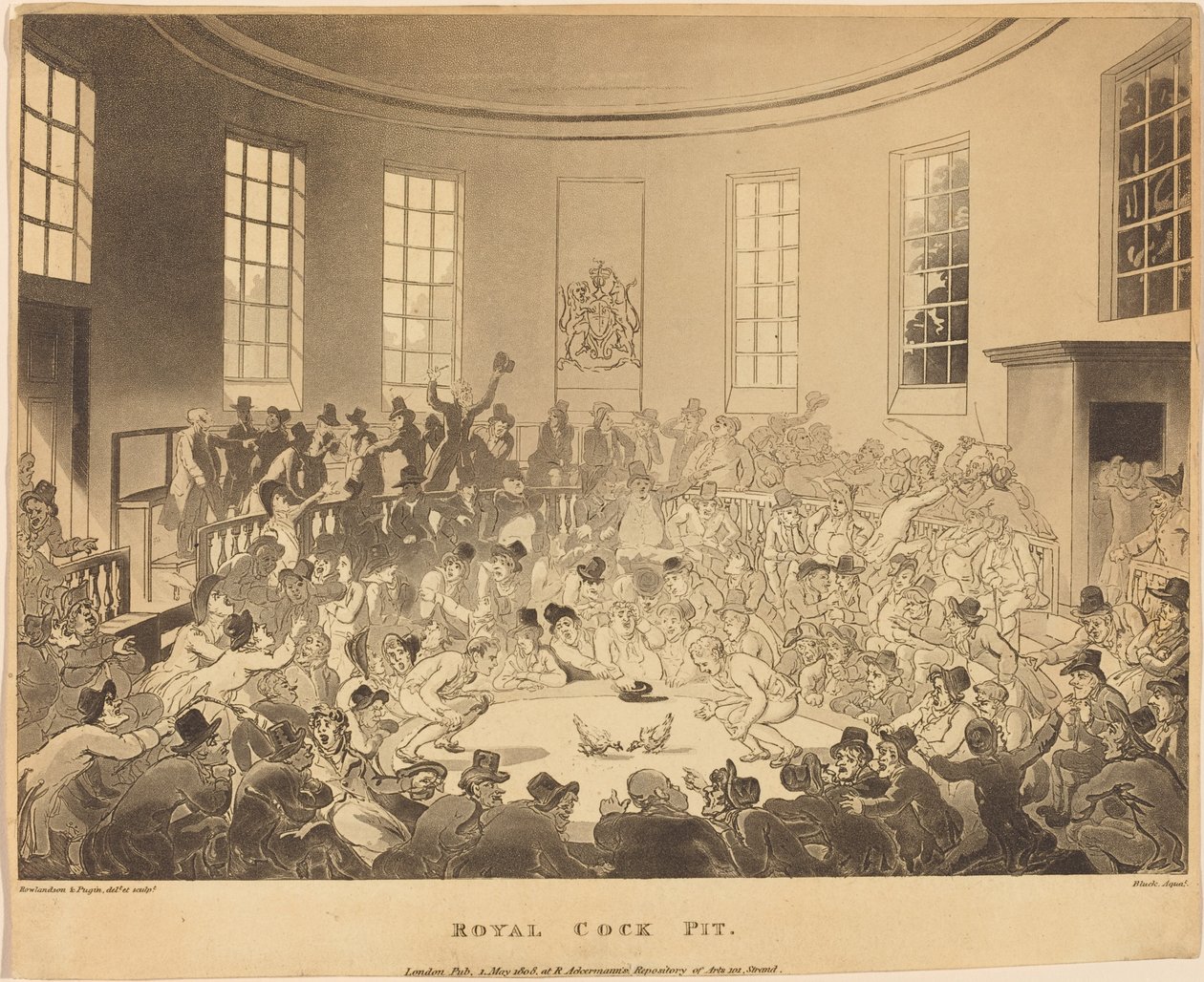 Royal Cockpit af Thomas Rowlandson