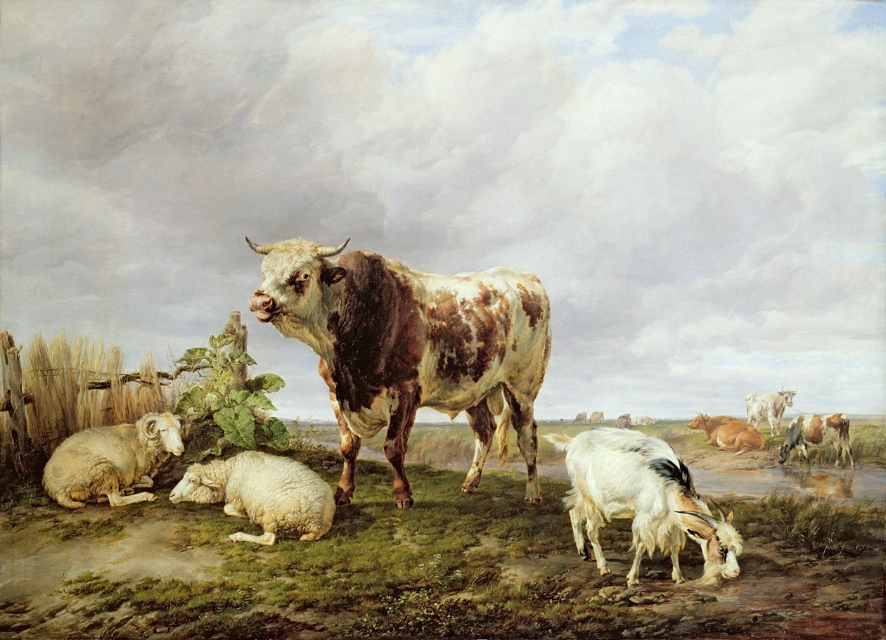 Kvæg i Engen af Thomas Sidney Cooper