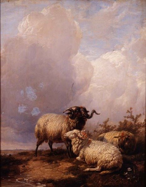 Får i Landskab af Thomas Sidney Cooper
