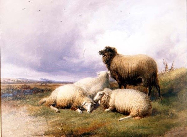 Får i et landskab af Thomas Sidney Cooper