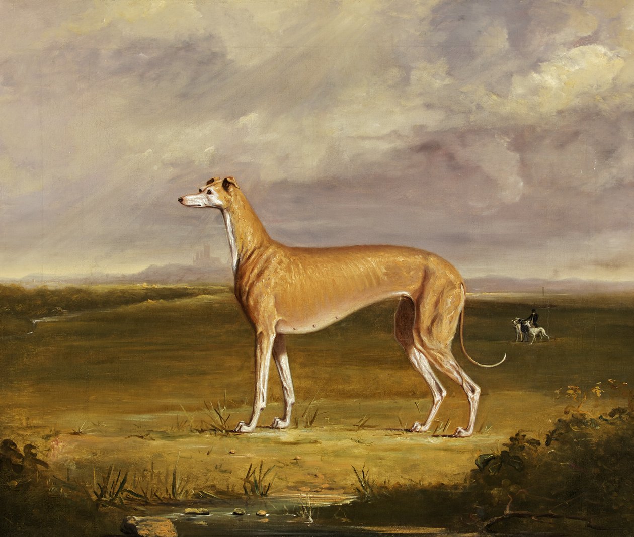 The Greyhound, ca. 1830 (olie på lærred) af Thomas W. Bretland