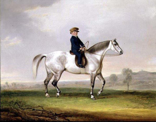 Mester Edward Humphries på sin grå pony af Thomas Weaver
