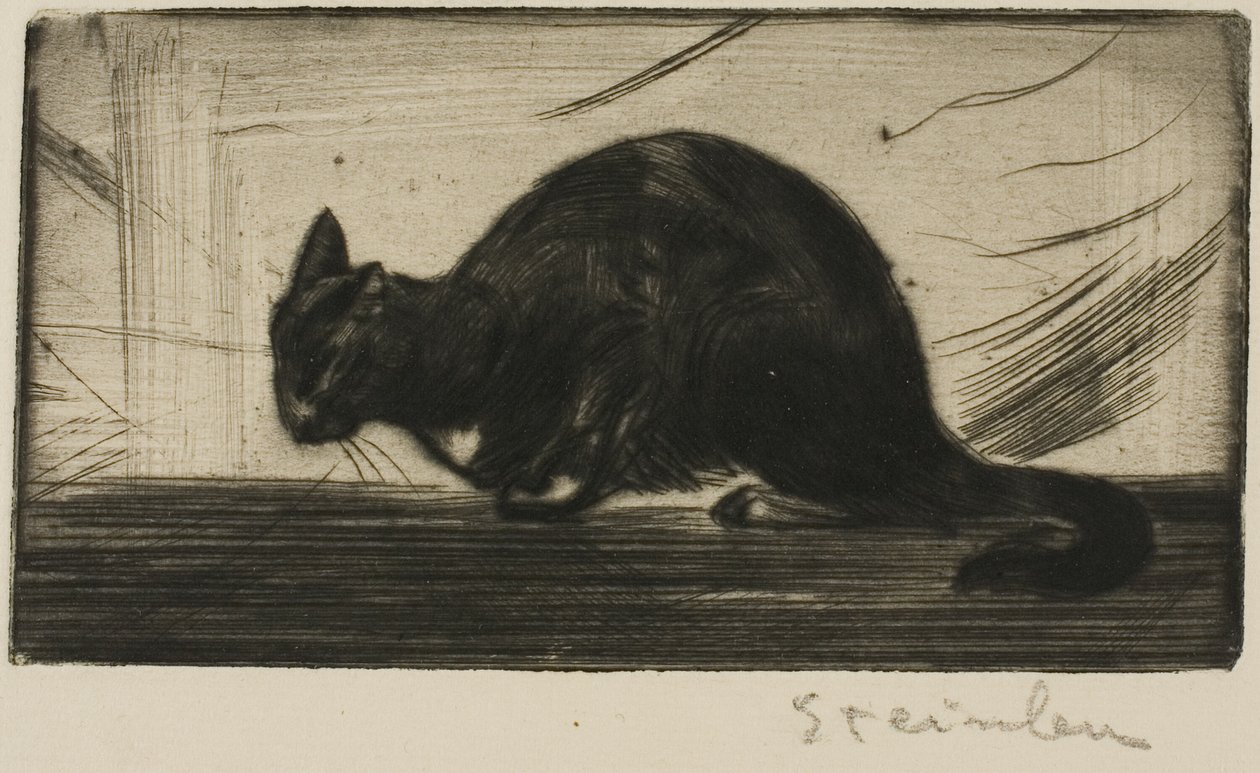 Katten bøjer sin ryg af Théophile Alexandre Pierre Steinlen