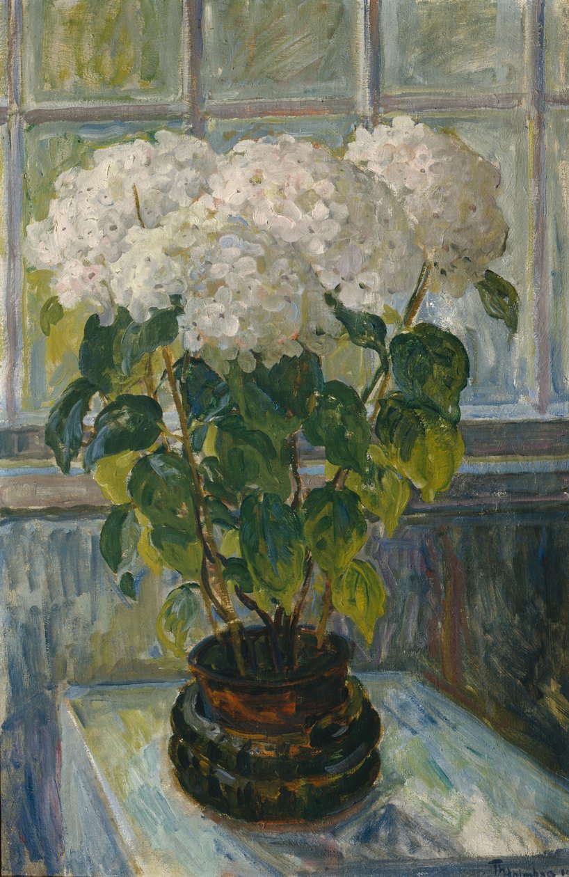 Hortensia af Thorolf Holmboe