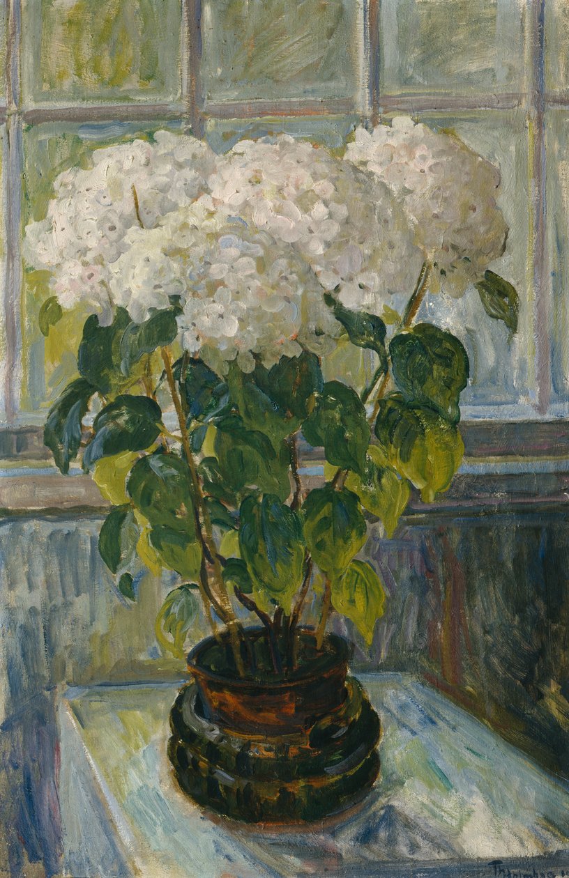 Hortensia af Thorolf Holmboe