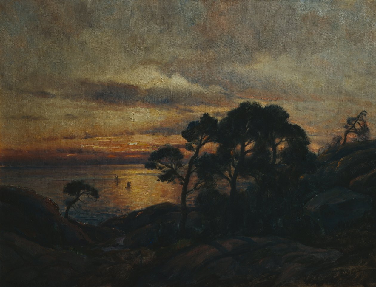 Fyrretræ ved solnedgang af Thorolf Holmboe