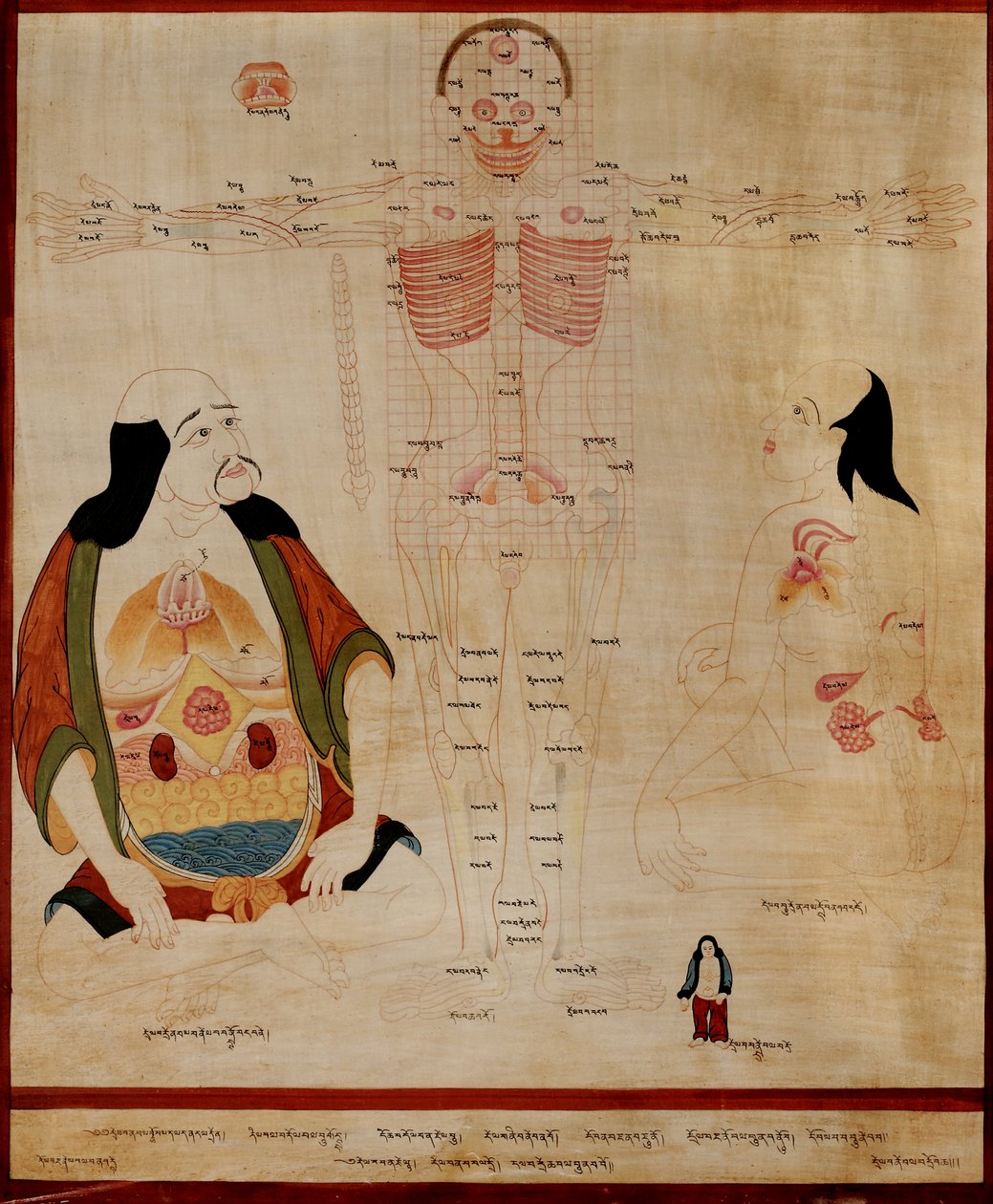 Manuskript, der viser meridianpunkterne; af Tibetan School
