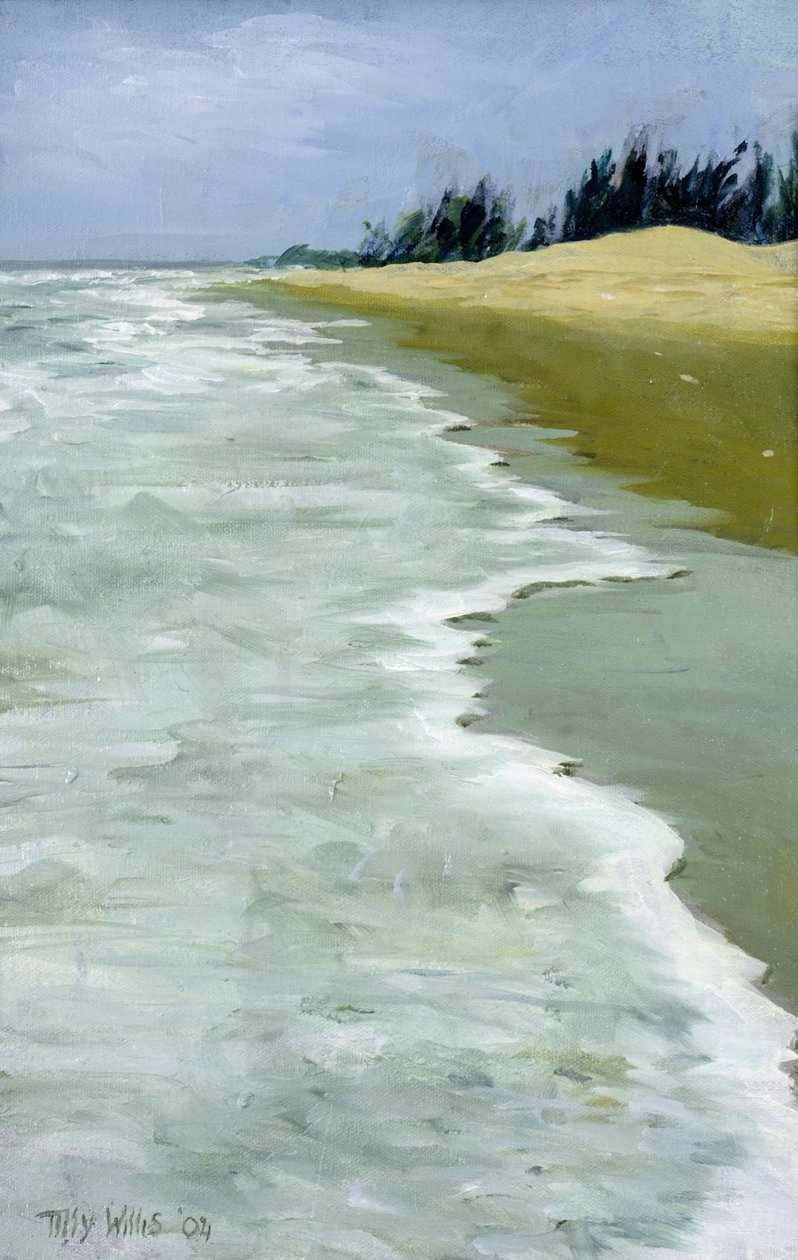 Stranden, 2004 af Tilly Willis