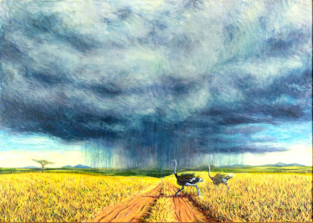 African Storm, 2016, af Tilly Willis