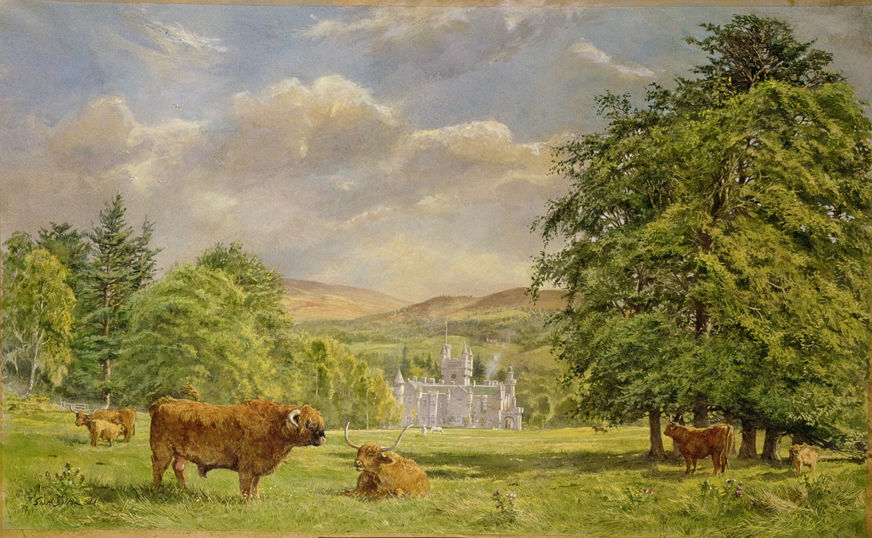 Bulls at Balmoral, 1988 (wc) af Tim Scott Bolton