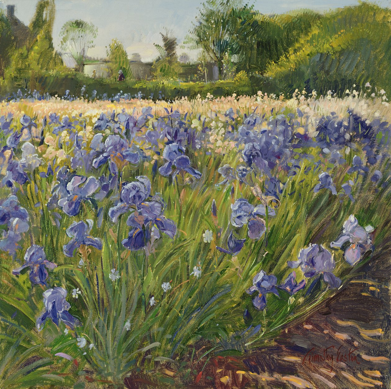 Over de blå iris af Timothy Easton