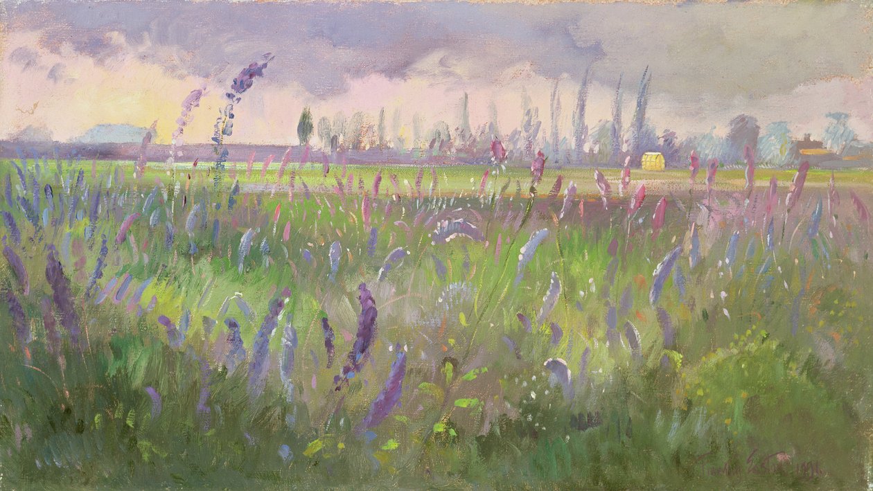 Delphiniums, Storm forbi, 1991 af Timothy Easton