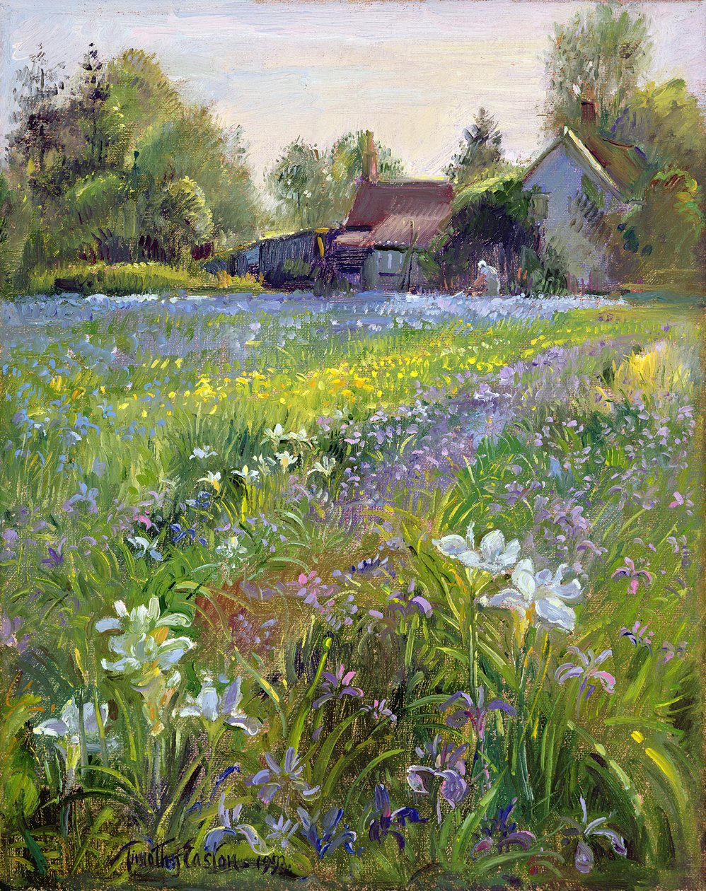 Dværgeiriser og sommerhus, 1993 af Timothy Easton