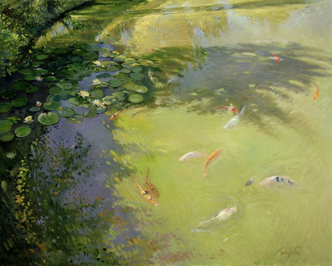 Fjerspil af Timothy Easton