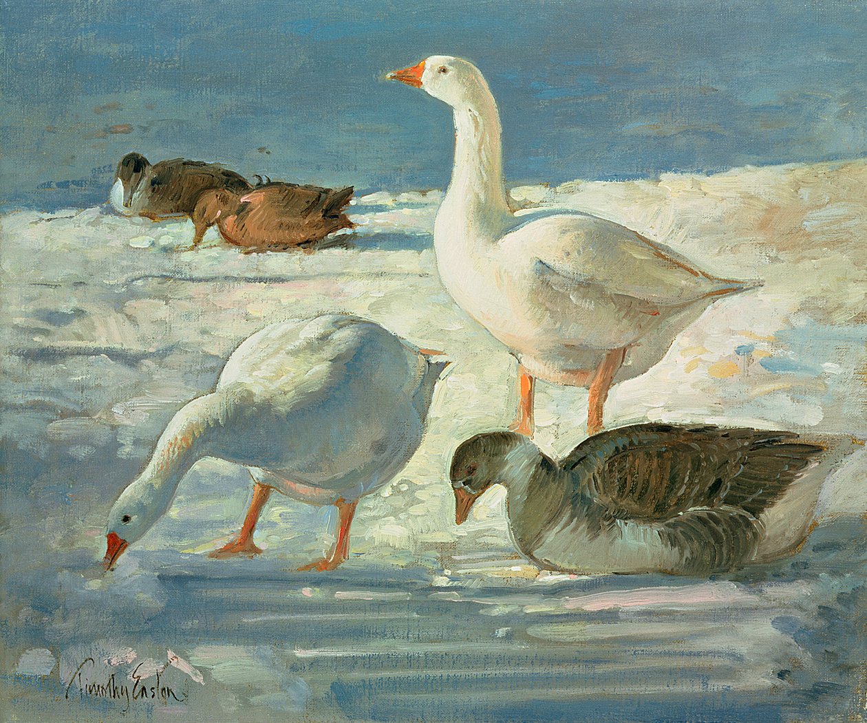 Gæs og gråænder, 2000 af Timothy Easton