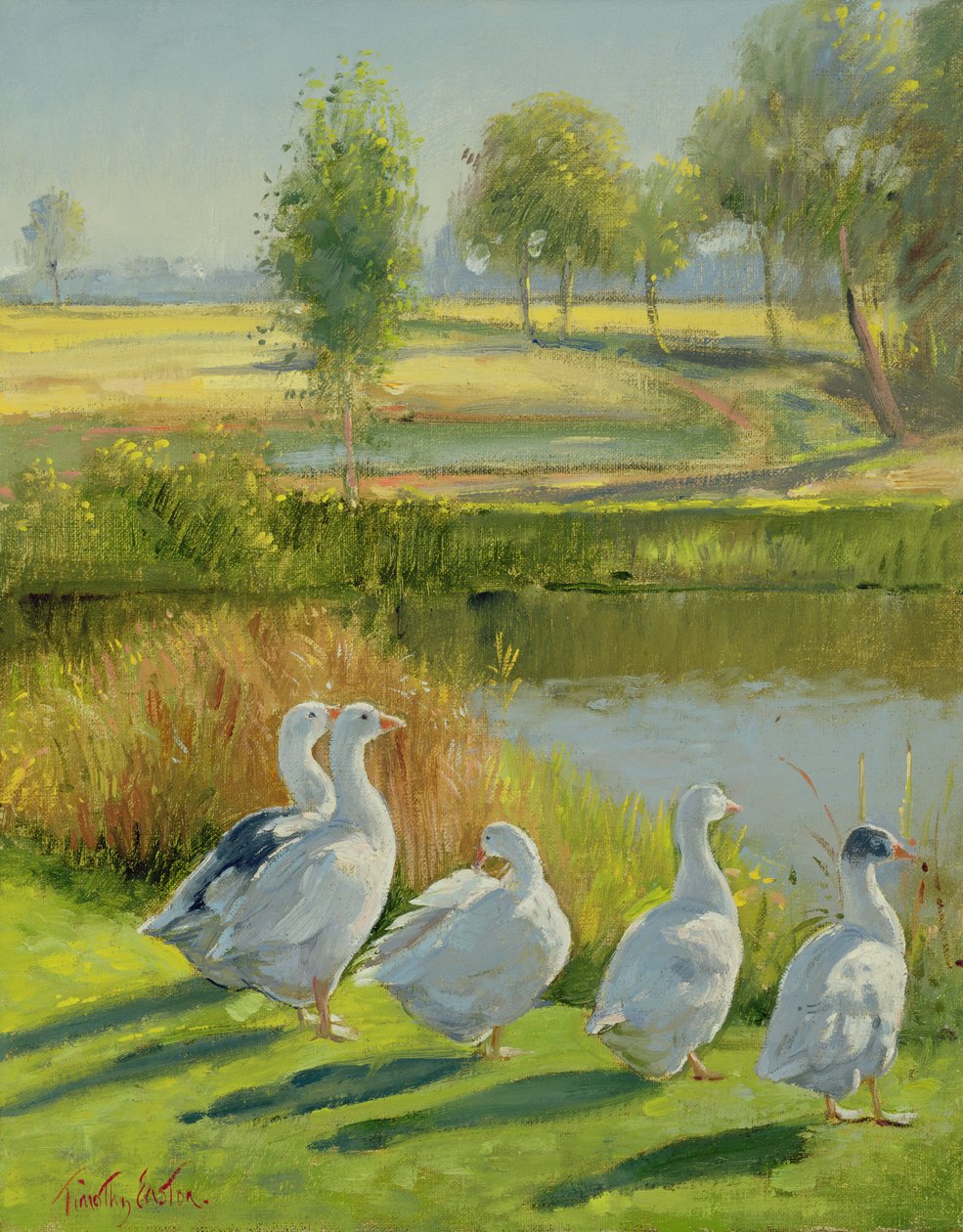 Gåsevagt af Timothy Easton