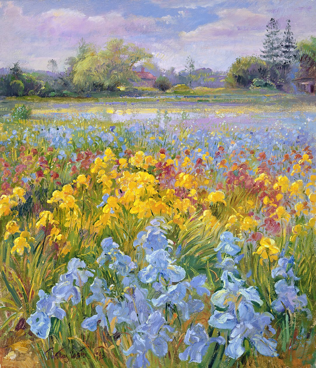 Iris, pil og grantræ, 1993 af Timothy Easton
