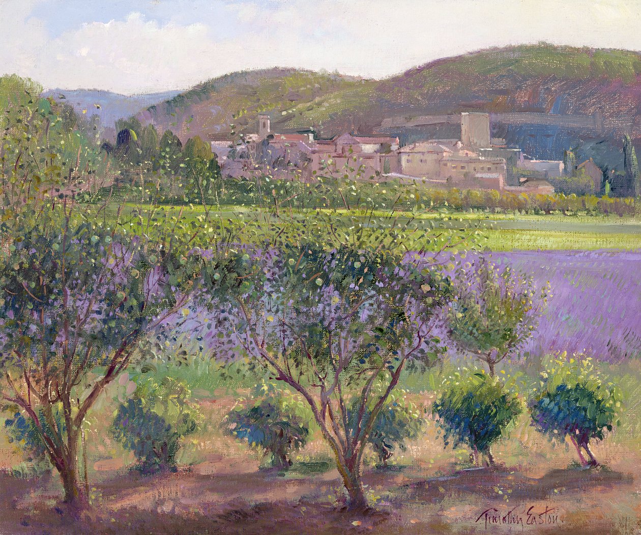 Lavendel set gennem kvæde træer, Monclus af Timothy Easton