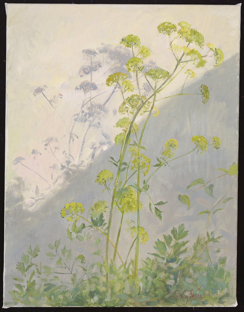 Lovage Against Diagonal Shadows, 1999 af Timothy Easton