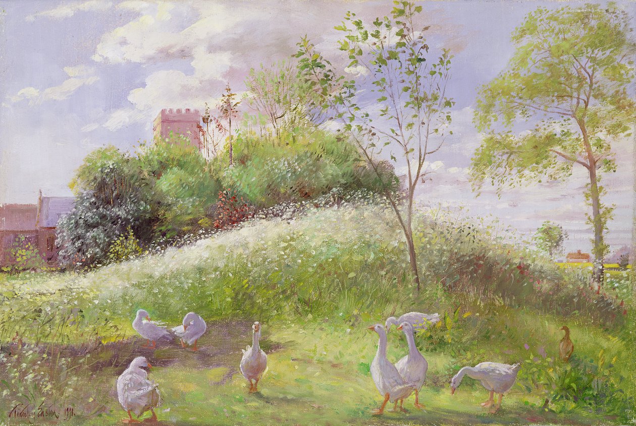 Maj Mount, 1991 af Timothy Easton