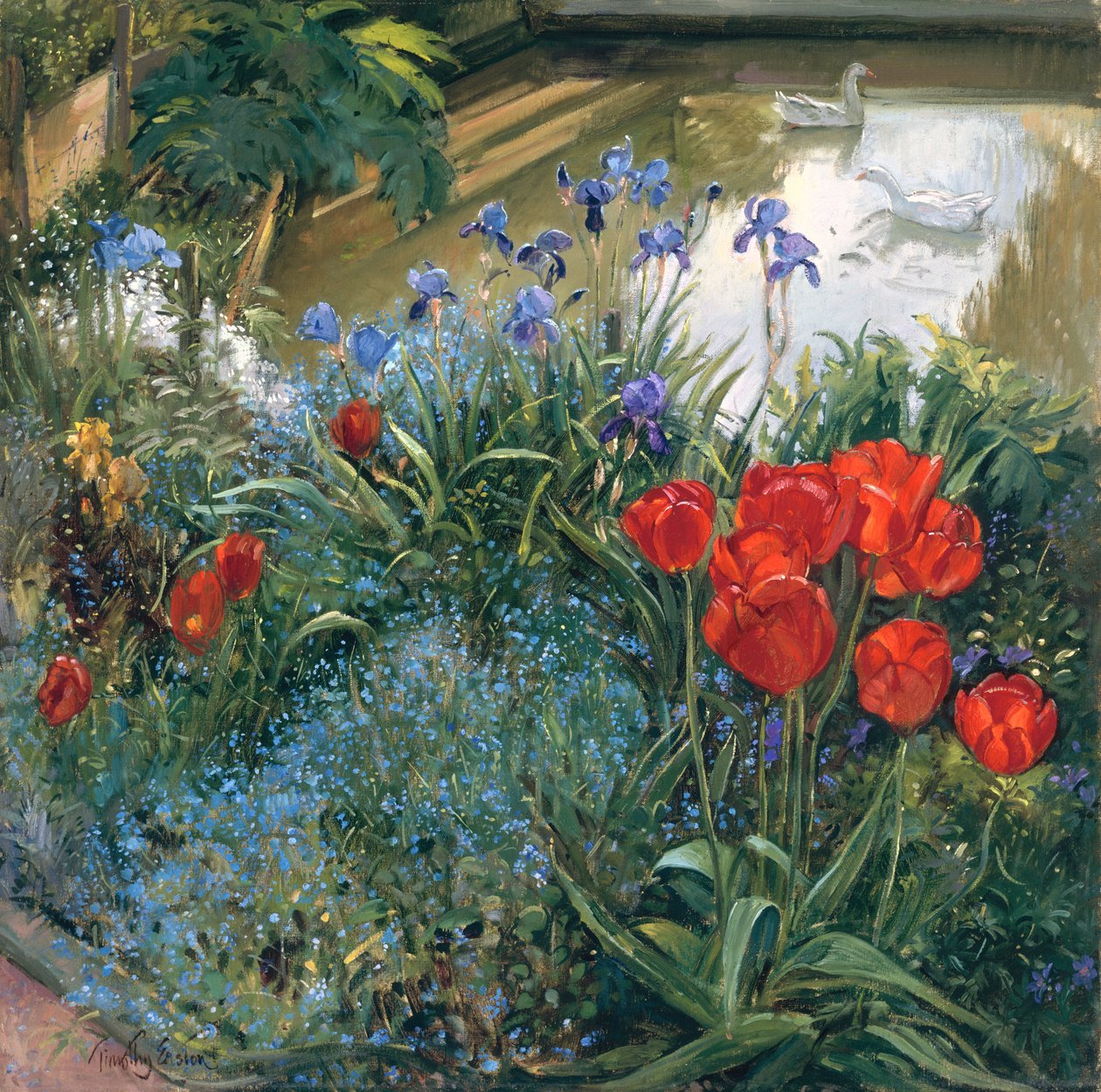 Røde tulipaner og gæs af Timothy Easton