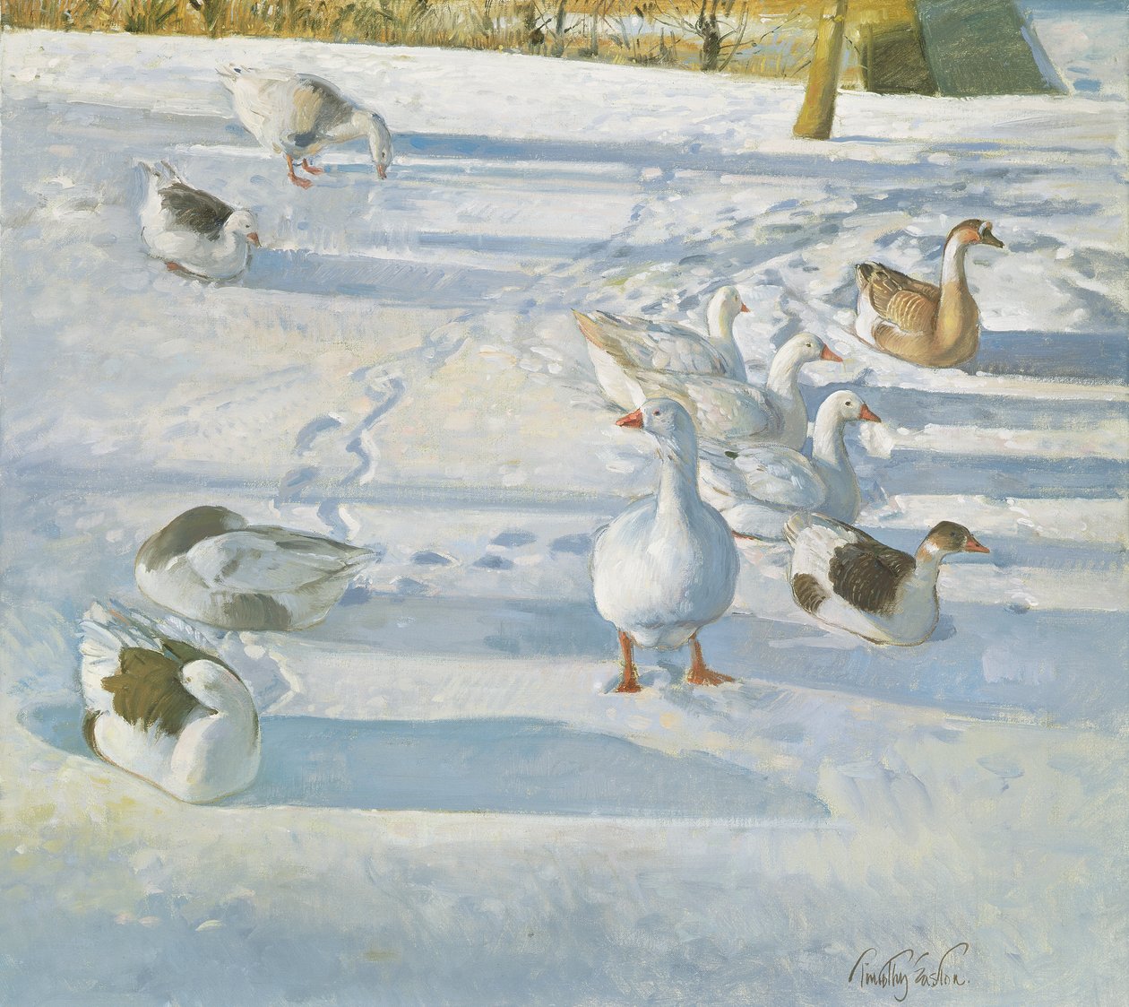 Hviler på skråningen af Timothy Easton