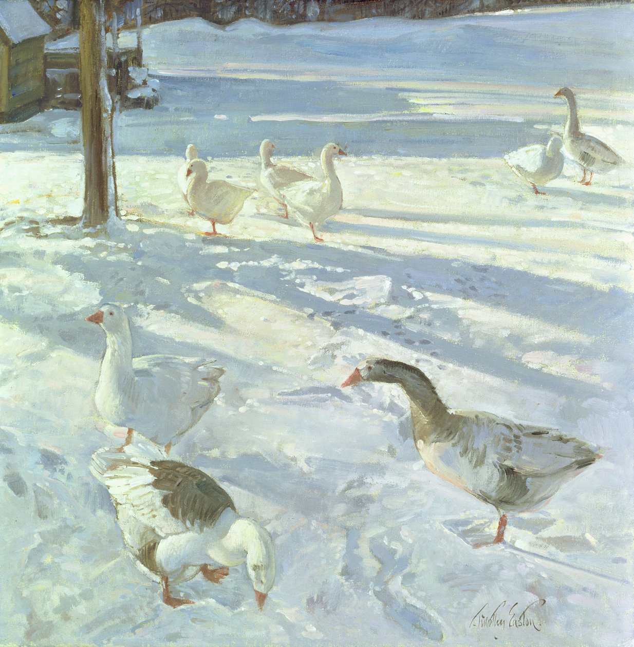 Snowfeeders, 1999 af Timothy Easton