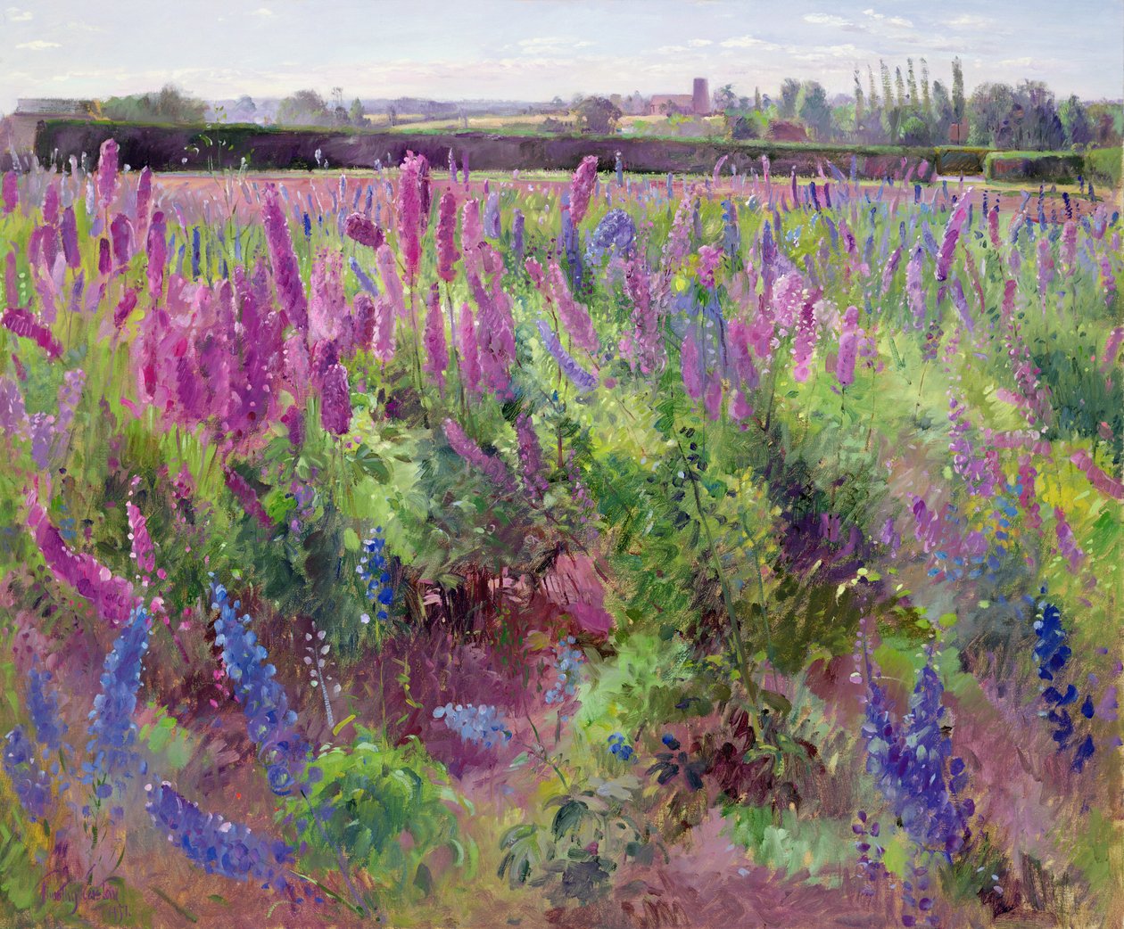 The Delphinium Field, 1991 af Timothy Easton