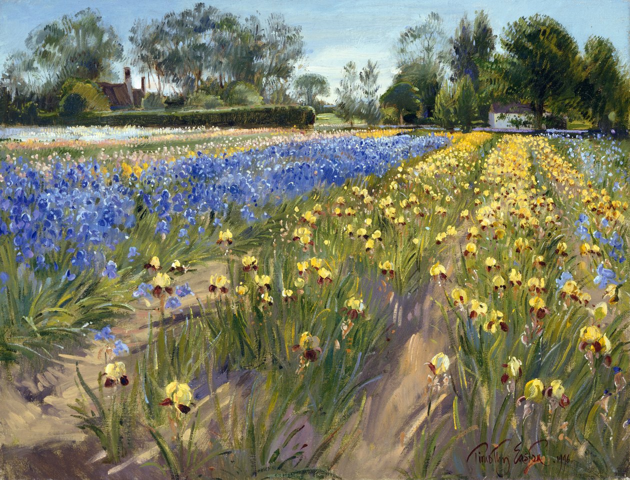 Mod den hvide lade, 1996 af Timothy Easton