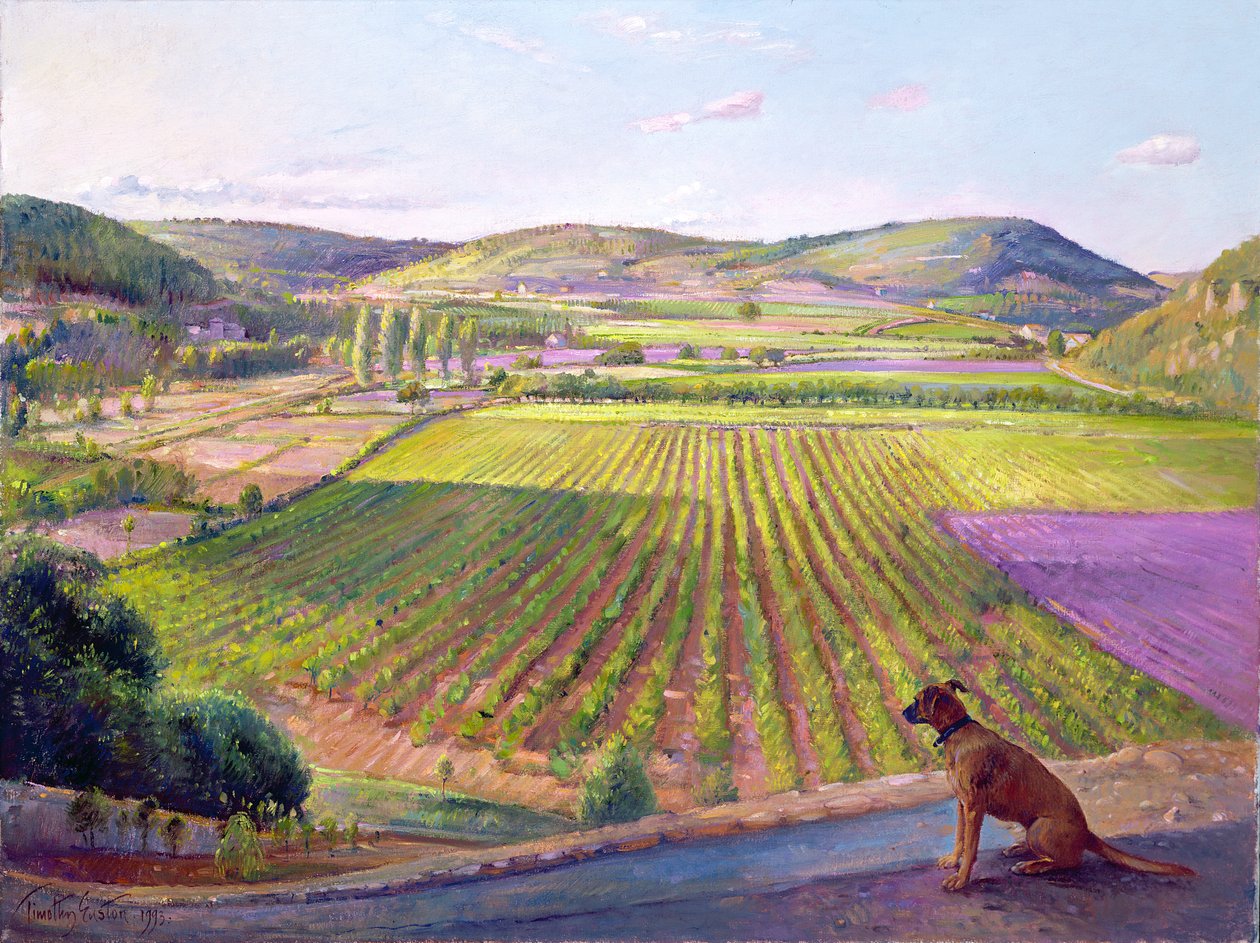 Watching from the Walls, Old Provence, 1993 af Timothy Easton