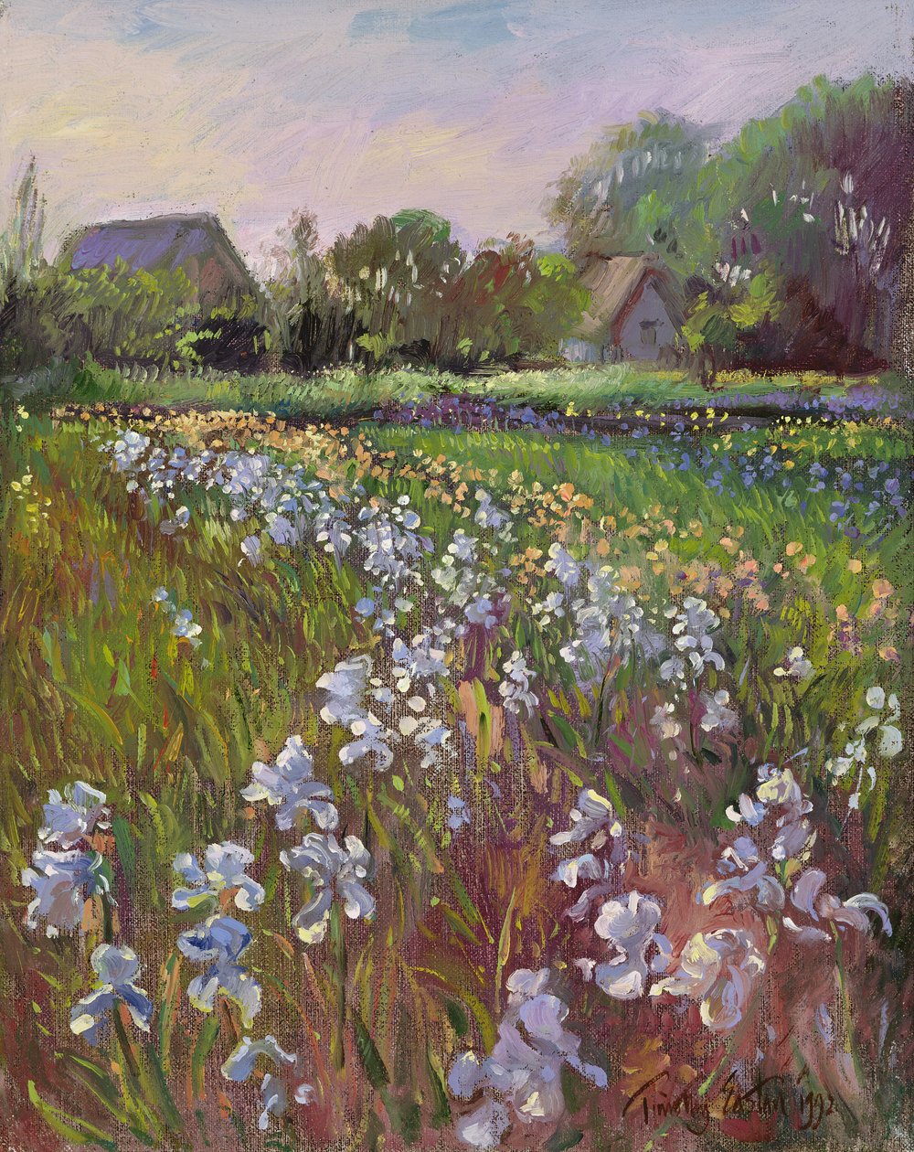 Hvide iris og gård af Timothy Easton