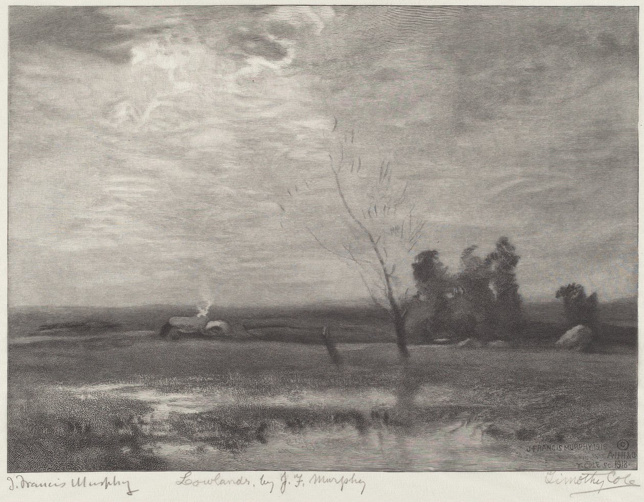 Lavland af Timothy Cole after John Francis Murphy