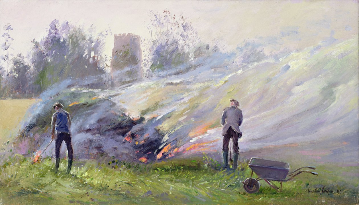 Efterårsbål af Timothy Easton