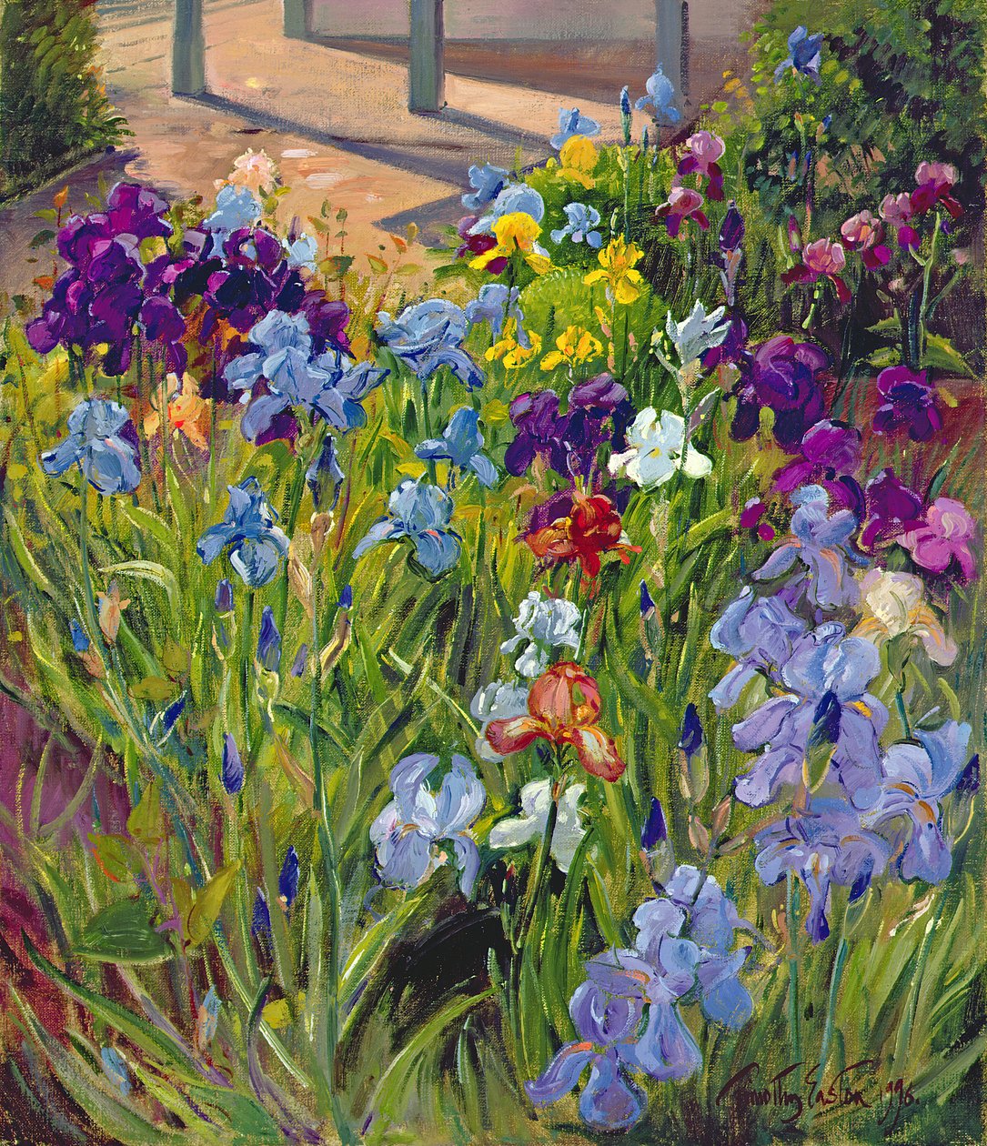 Iriser og sommerhusskygger, 1996 af Timothy Easton