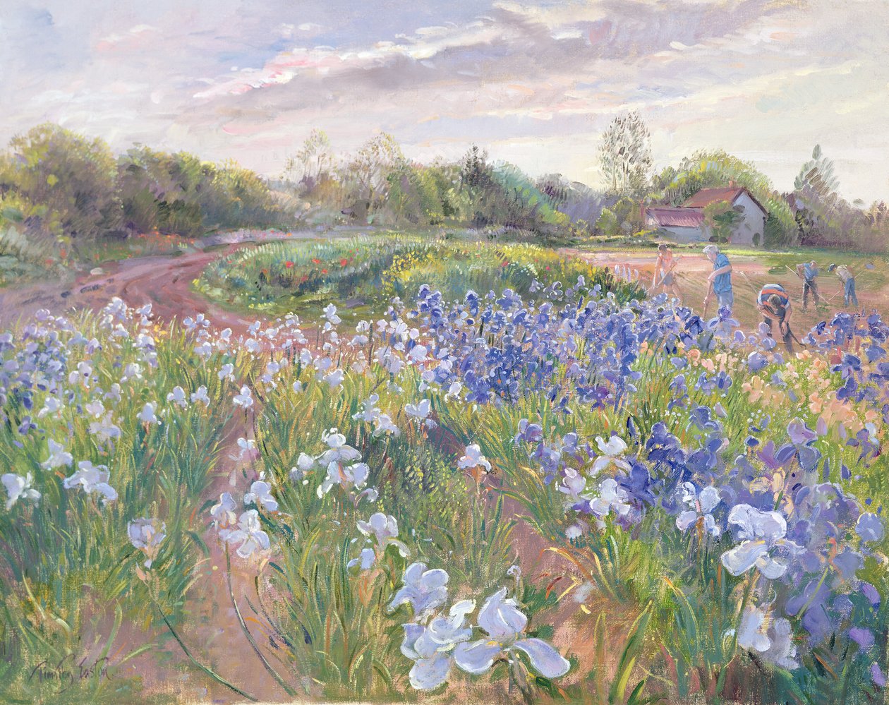 Sunsparkle on Irises, 1996 af Timothy Easton