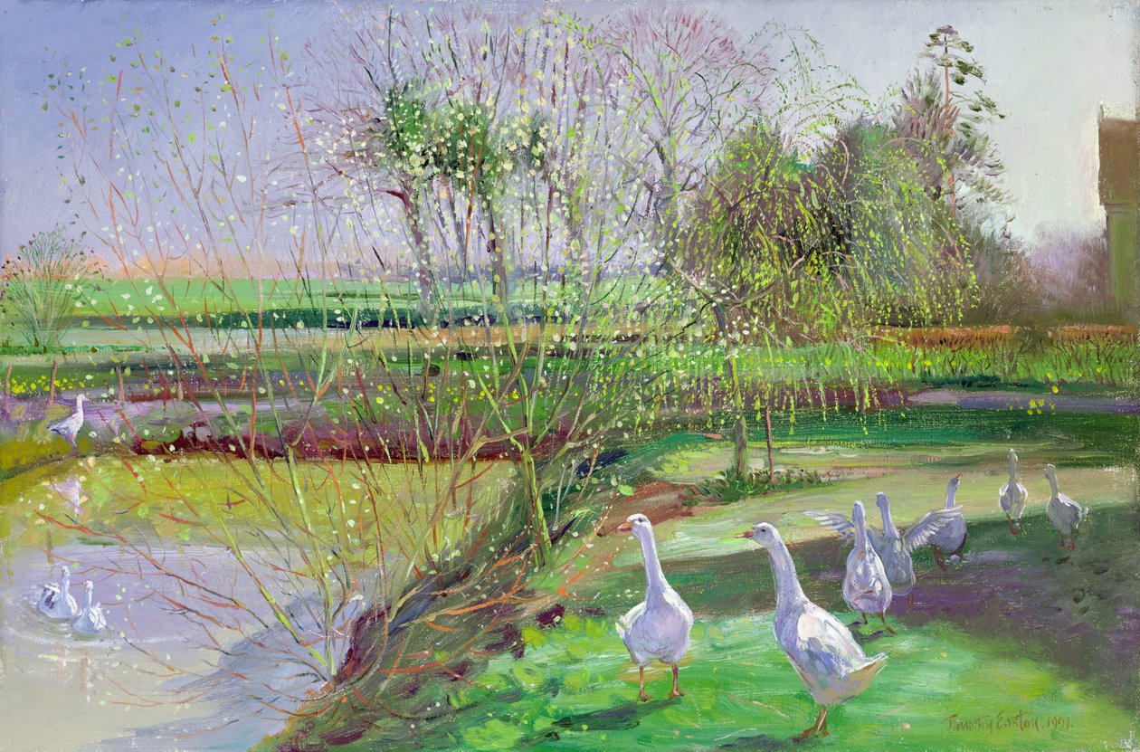 Pil og gæs af Timothy Easton
