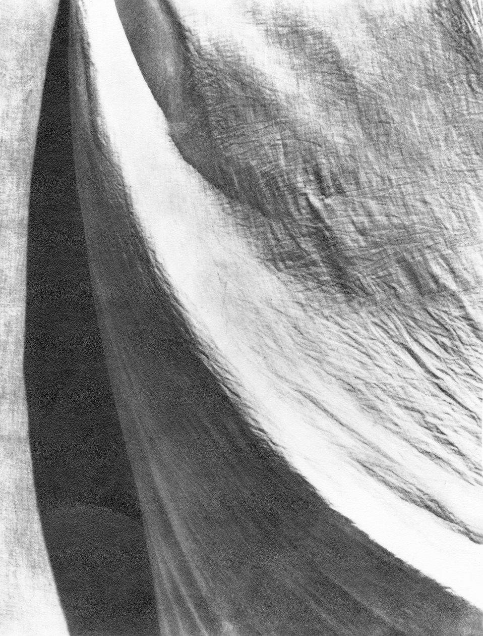 Cloth, Mexico, 1924 af Tina Modotti